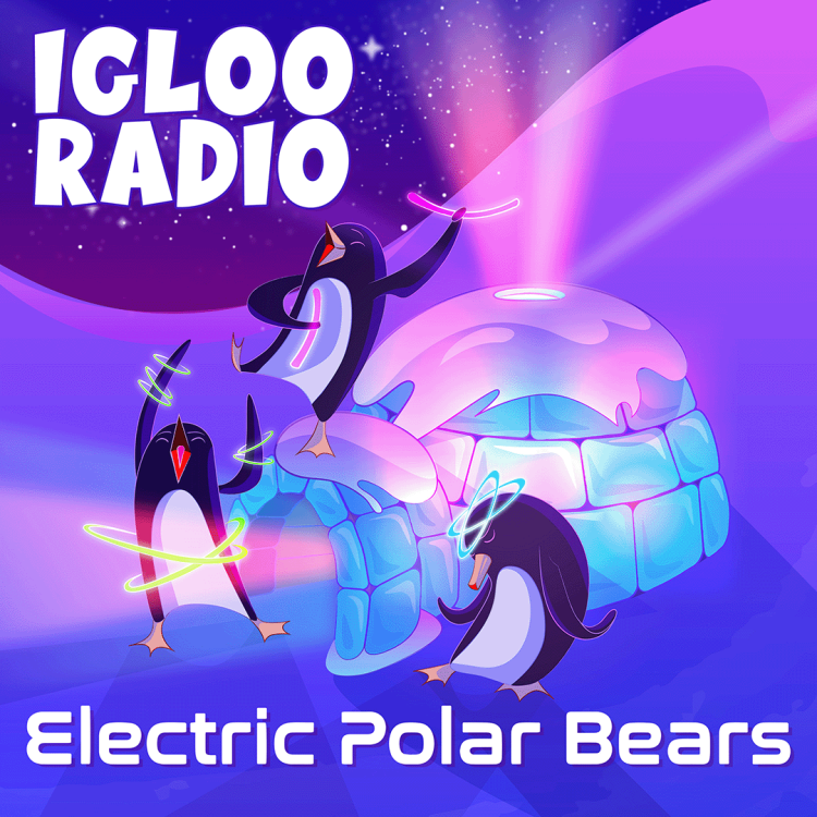 Igloo Radio