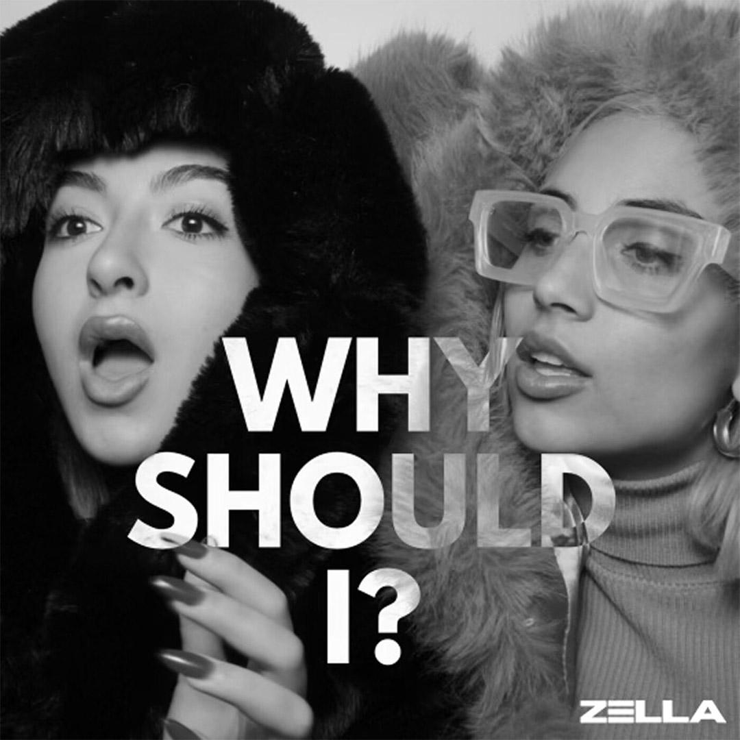Z3LLA - Why Should I?